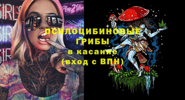 спиды Арсеньев