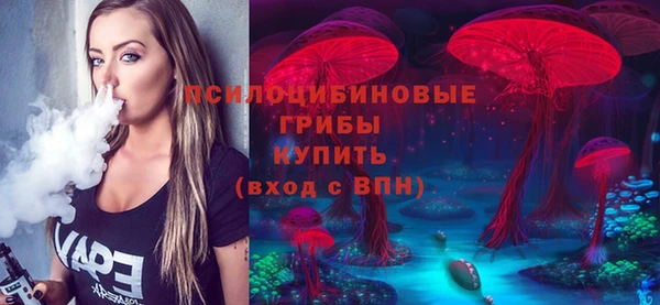 спиды Арсеньев